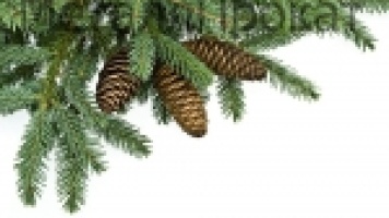 В Новый год,без забот! 18.12. 2017